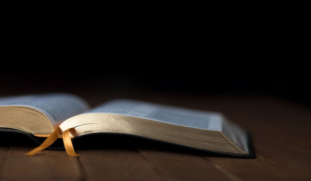 Worshipping According to the Word